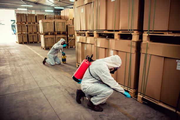 Best Affordable Pest Control Services  in Mcleansville, NC