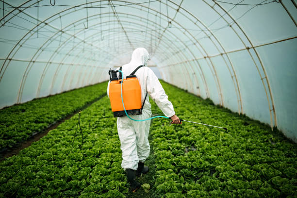 Best Best Pest Control Companies  in Mcleansville, NC