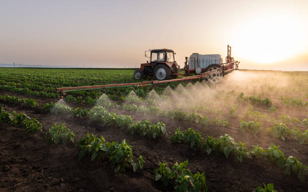 Best Pest Inspection Near Me  in Mcleansville, NC