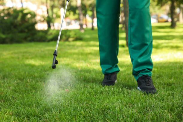 Reliable Mcleansville, NC Pest Control Solutions