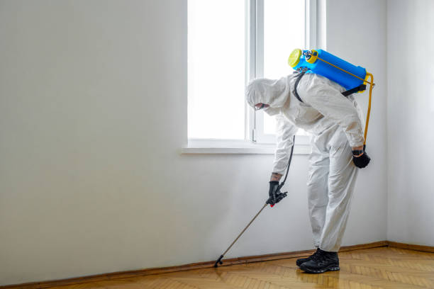 Best Pest Control Near Me  in Mcleansville, NC