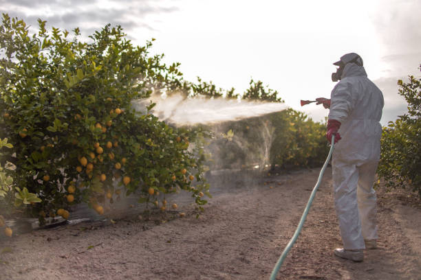 Best Local Pest Control Services  in Mcleansville, NC