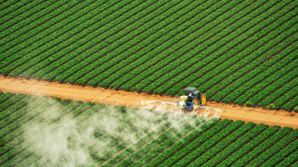  Mcleansville, NC Pest Control Pros