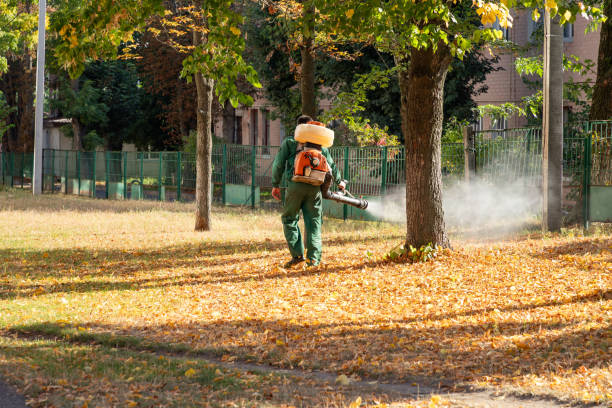 Best Commercial Pest Control Services  in Mcleansville, NC