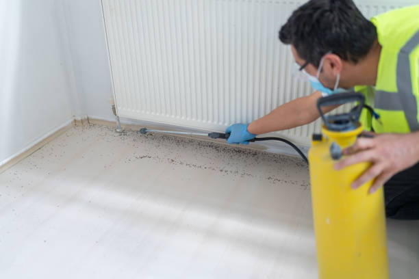 Best Affordable Pest Control Services  in Mcleansville, NC