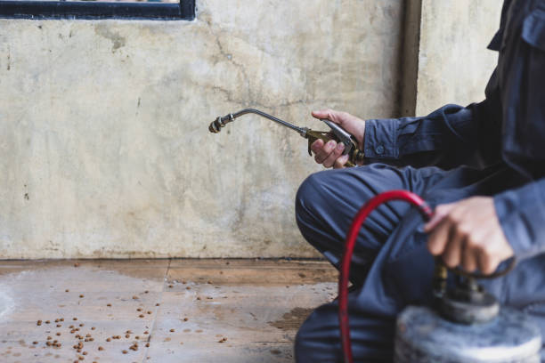 Best Wasp Removal Services  in Mcleansville, NC