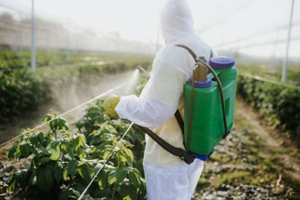 Best Emergency Pest Control  in Mcleansville, NC
